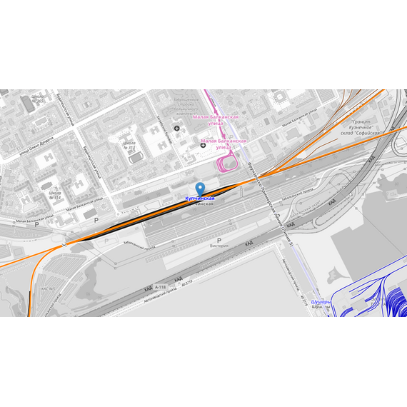 Станция Купчинская