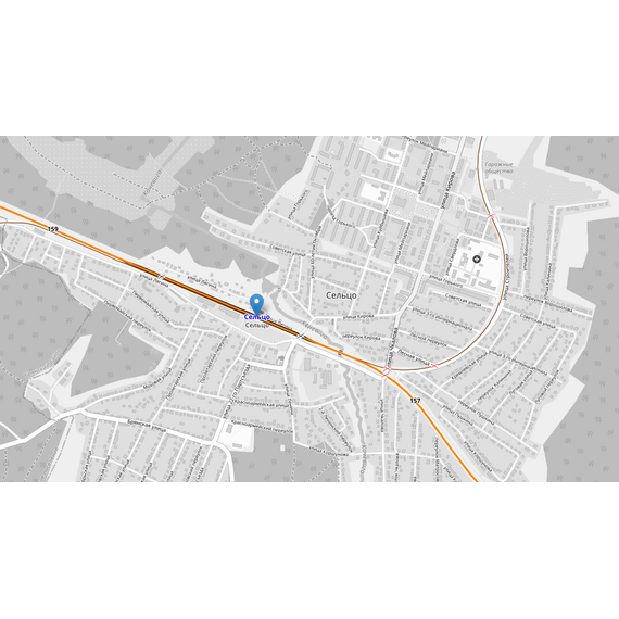 Станция Сельцо